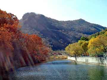 澳门二四六天天彩图库，花冠论坛